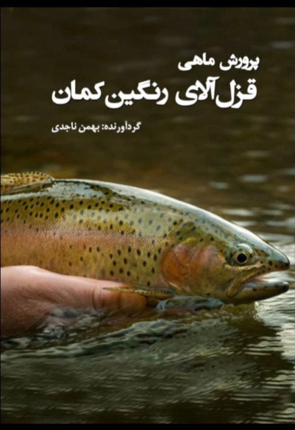 پرورش ماهی قزل آلای رنگین کمان